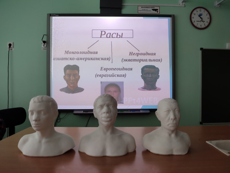 "Расы и их происхождение".